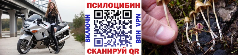Галлюциногенные грибы Psilocybine cubensis  что такое наркотик  Новая Ляля 